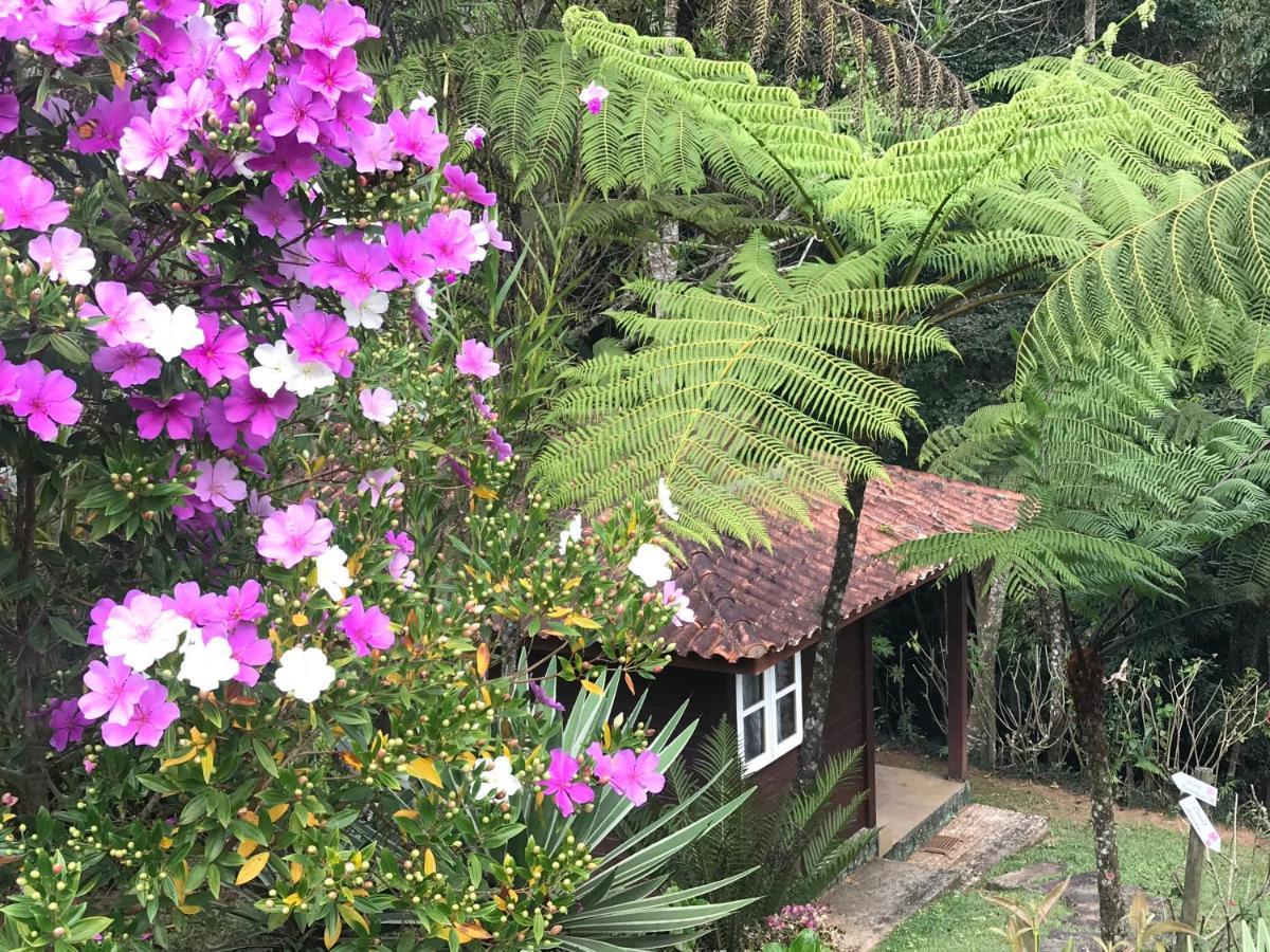 Reserva Dos Manacas Sao Pedro da Serra (Rio de Janeiro) Exterior photo